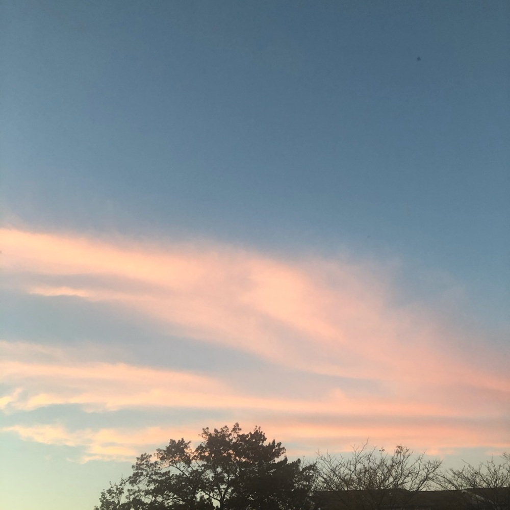 Meet your Posher, Lola